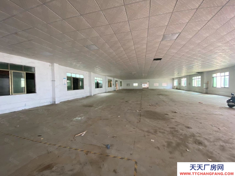 (出租) 清遠佛岡縣城 獨院廠房 共4300方 可分租 帶有辦公樓 飯堂