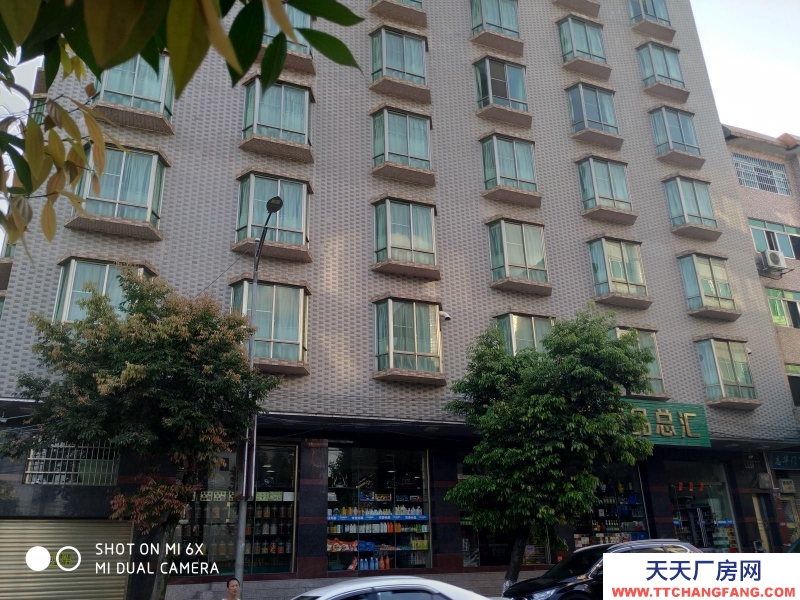 (出租) 清遠連南房屋整棟出租，單層無間隔460方一層