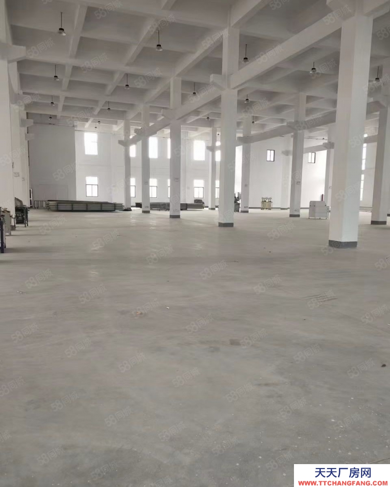 嘉興秀洲(出售) 出售 獨棟廠房 位置高照周邊，單層層高9米，1500平