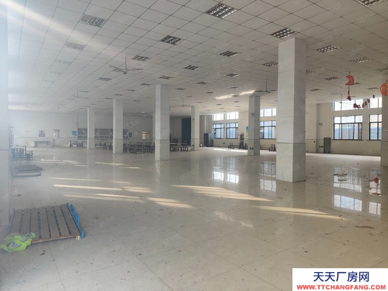 嘉興秀洲(出售) 經(jīng)開區(qū)獨(dú)院廠房出售12000萬(wàn),看房方便