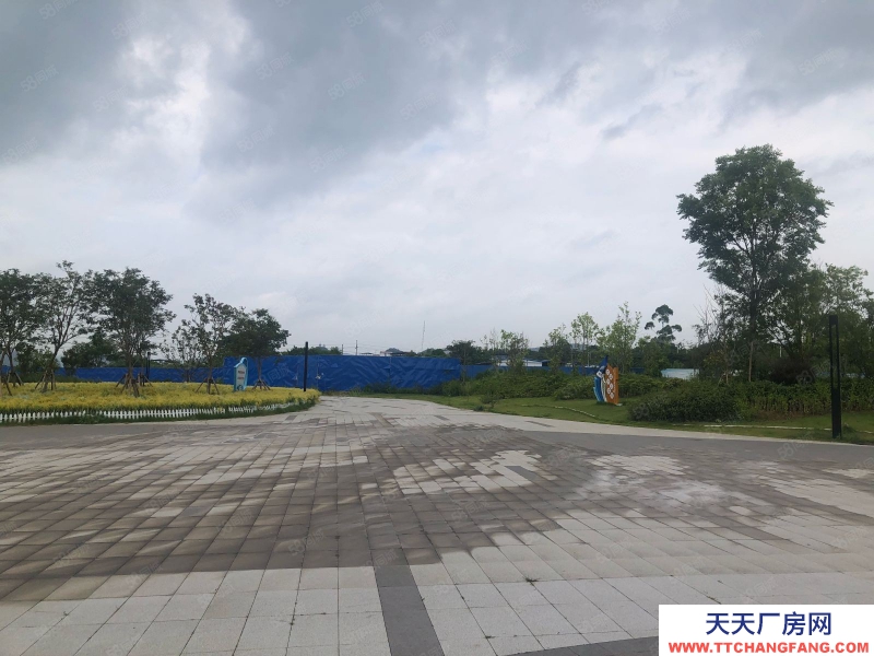 (出售) 柳州鹿寨60畝出售 單價(jià)23萬(wàn)一畝