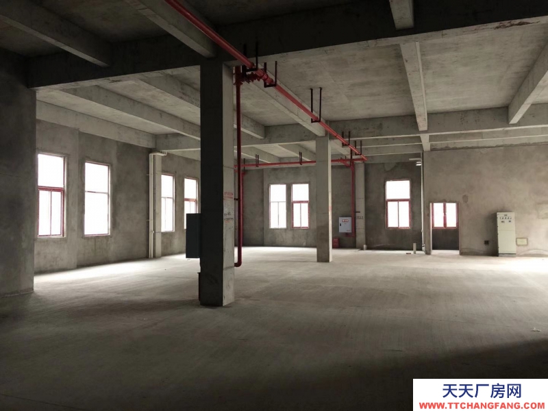 蔡家現房標準廠房/輕軌近公交旁物流園旁/買來即可用