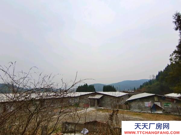 邵陽市隆回區 2000平養豬場出租,可養豬1000余頭