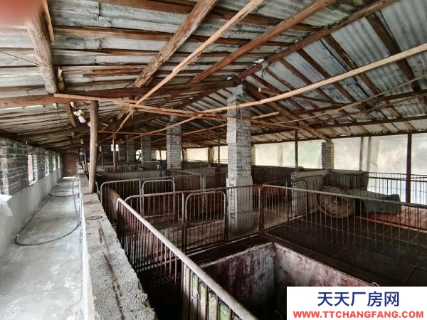 邵陽市隆回區 2000平養豬場出租,可養豬1000余頭