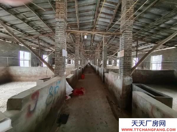 邵陽市隆回區 2000平養豬場出租，可養豬1000余頭