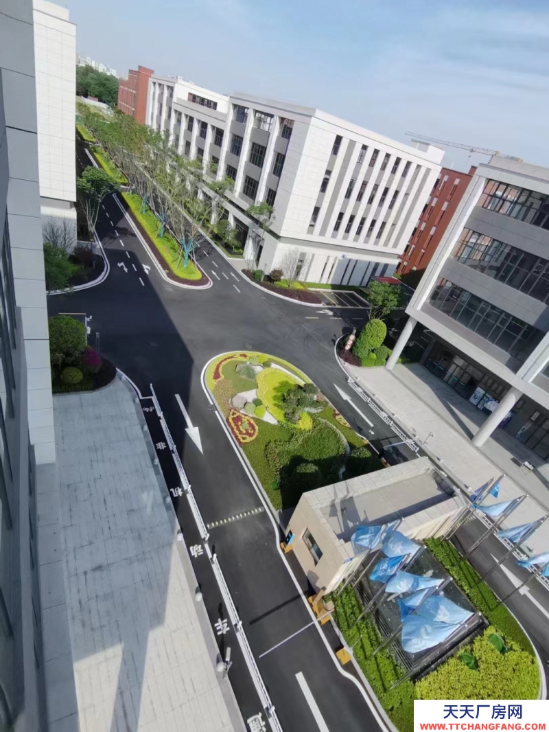 天府新區視高板塊科技型產業園,S5號線旁 50年產權獨棟樓宇