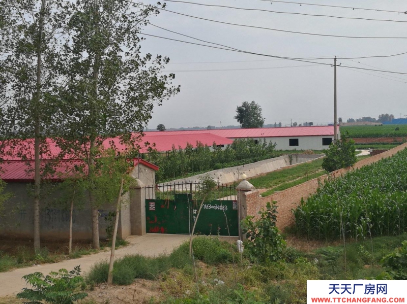 邯鄲 大名縣  廠房占地1000平，河北河南交界處