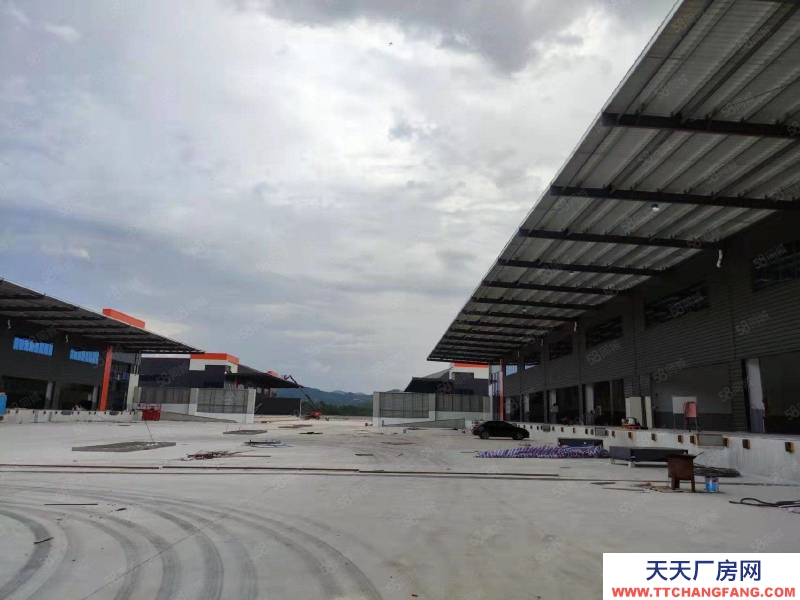 (出租) 清遠高速清新區(28000方12米高臺倉,各類冷庫)丙級消防