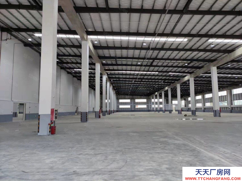 (出租) 清遠高速清新區(28000方12米高臺倉,各類冷庫)丙級消防