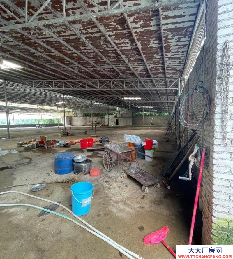 (出租) 清遠(yuǎn)清新區(qū)廠棚近高速,交通便利