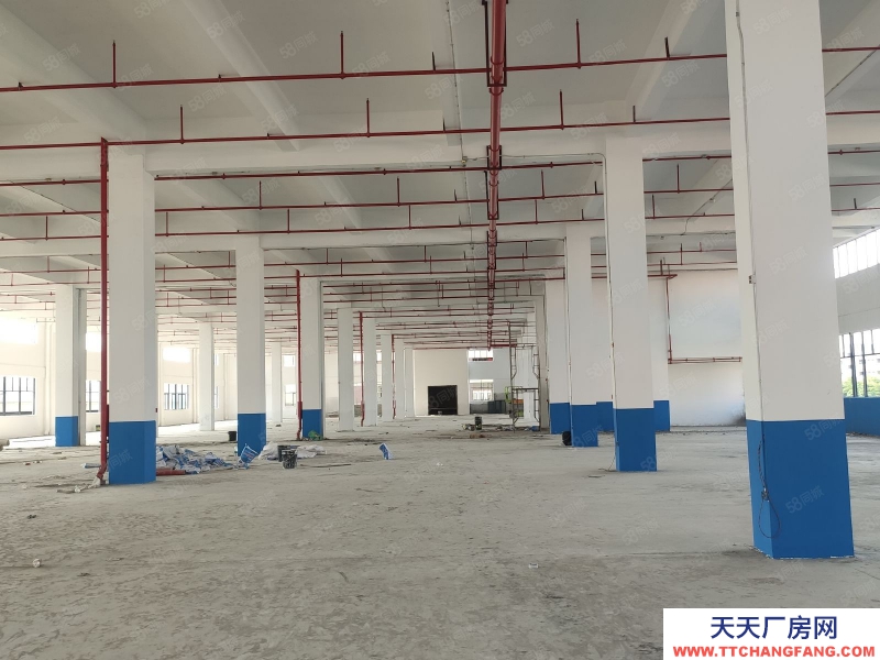 (出租) 肇慶1000平起租肇慶大旺高新區全新重工業丙二類消防廠房倉庫出租