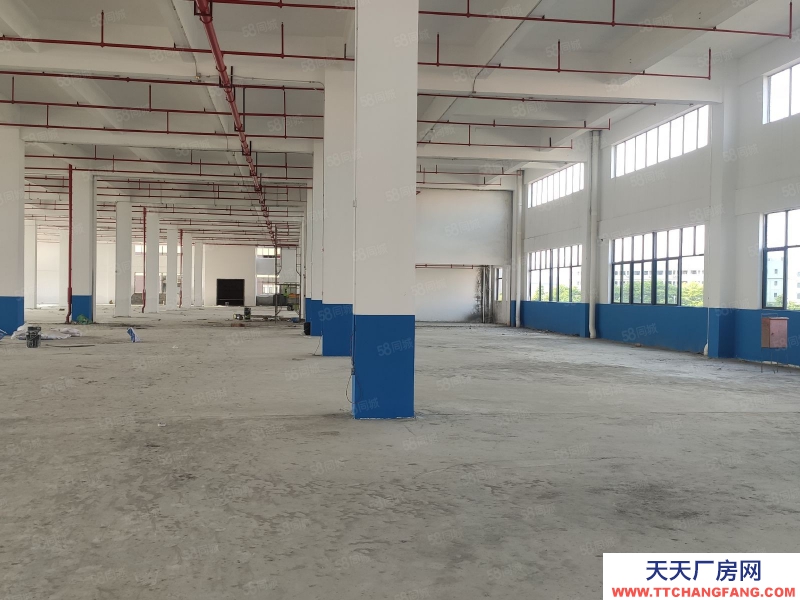 (出租) 肇慶1000平起租肇慶大旺高新區全新重工業丙二類消防廠房倉庫出租