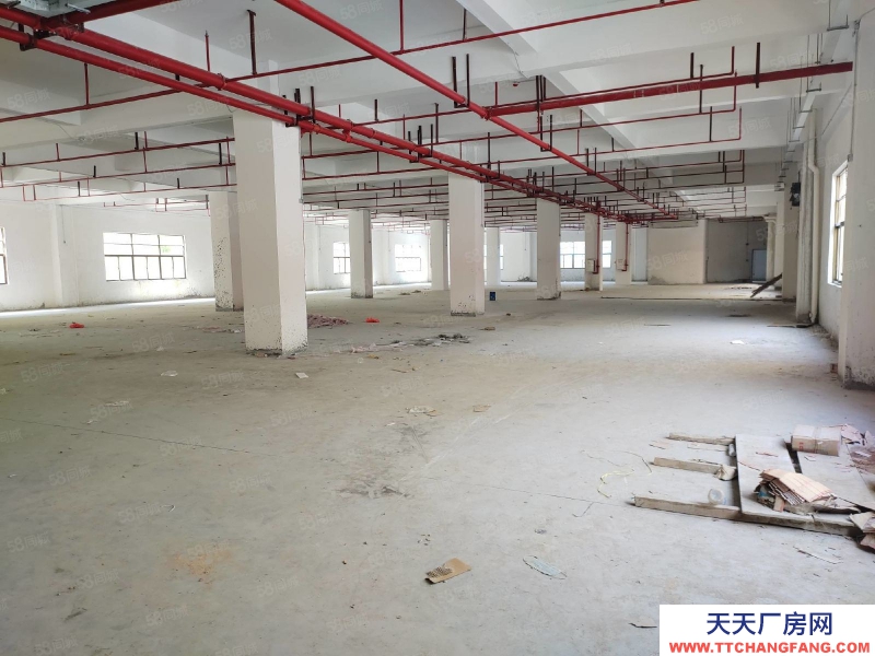 (出租) 肇慶端州城區(qū)標(biāo)準(zhǔn)水泥結(jié)構(gòu)廠房招租