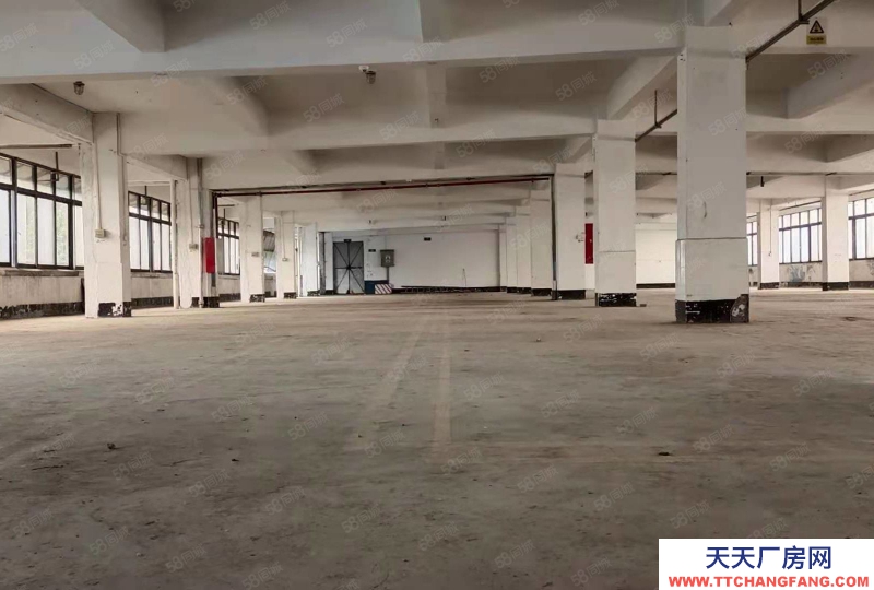 (出租) 肇慶端州特價廠房10元端州區(qū)睦崗大洲獨(dú)院廠房吉地招租