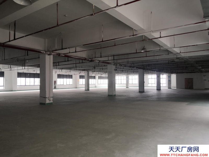 織里整層廠房出租1846平方，有電梯，適合童裝生產加工。