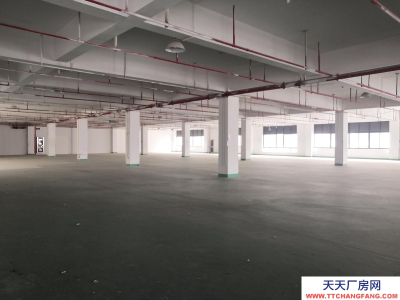 織里整層廠房出租1846平方，有電梯，適合童裝生產(chǎn)加工。