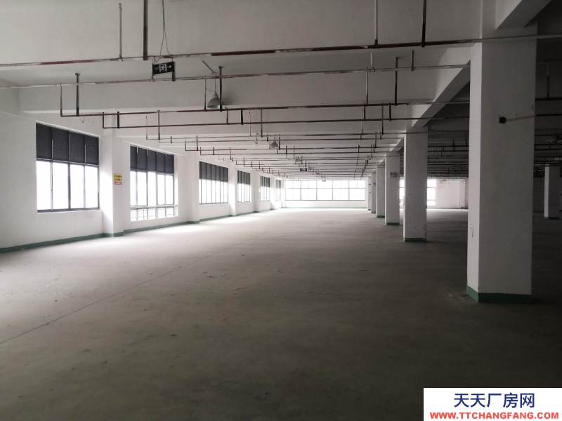 織里整層廠房出租1846平方，有電梯，適合童裝生產加工。