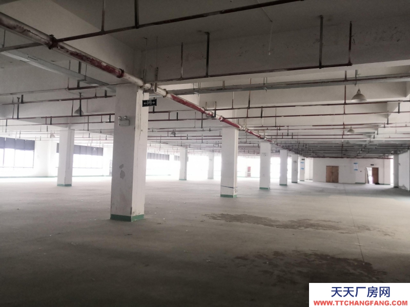 織里整層廠房出租1846平方，有電梯，適合童裝生產加工。