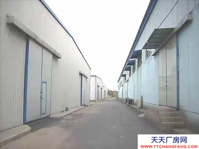 (出租)定西臨洮縣 北關(guān)紙坊新村18棟后院