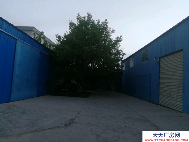 (出租) 張掖甘州位于嘉禾農(nóng)貿(mào)市場(chǎng)隔壁