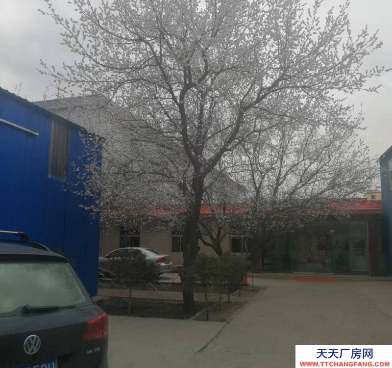 (出租)張掖甘州中心廣場(chǎng)太和村一社28號(hào)庫(kù)房