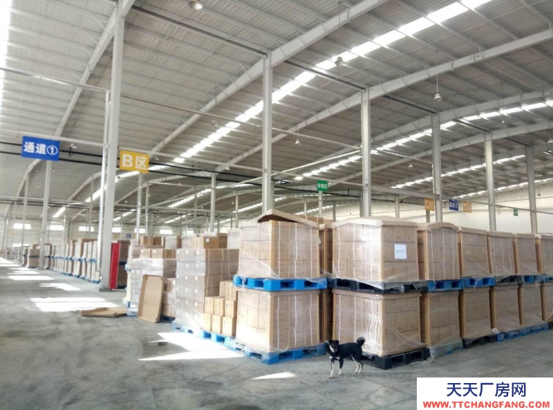 德州齊河10000平標(biāo)準(zhǔn)高臺庫出租