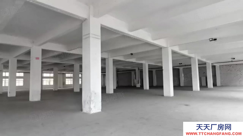 (出租) 廣東中山丙二類消防大型紅本倉庫廠房出租