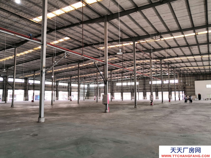 (出租) 廣東中山大型物流園,快遞物流分撥中心,平臺倉庫招