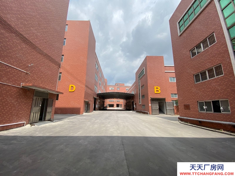 (出租) 廣東中山民眾60000方丙二級消防倉庫出租