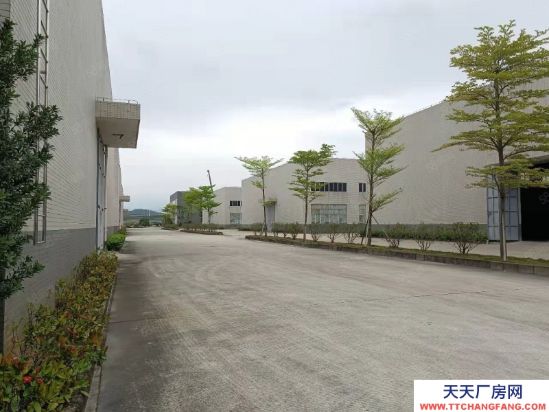 (出租) 廣東中山西區新出獨門獨院物流倉庫20000平方,大小可分租