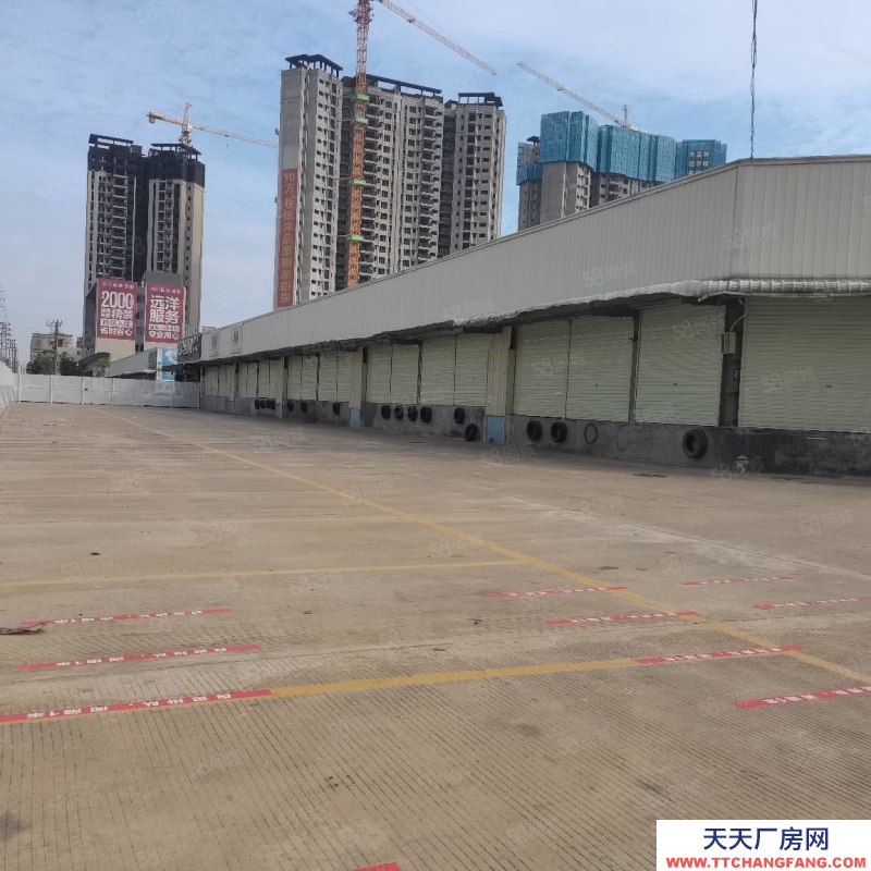 (出租) 廣東中山標(biāo)準(zhǔn)物流快遞倉庫出租