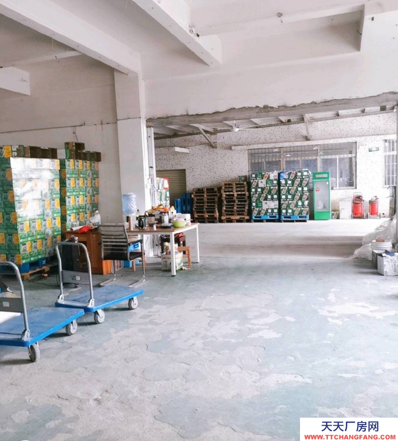 (出租) 廣東中山可以廠房兼?zhèn)}庫，電力齊全，位置適中，交通方便