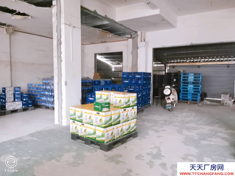 (出租) 廣東中山可以廠房兼?zhèn)}庫,電力齊全,位置適中,交通方便