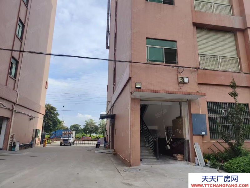 (出租) 廣東中山永興樓上廠房出租，花園式廠房1800方大小可分租