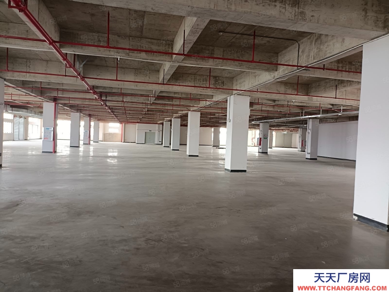 (出租) 廣東中山東鳳豪華工業(yè)園區(qū)樓上3900方,1500起分!豪華精裝辦公室