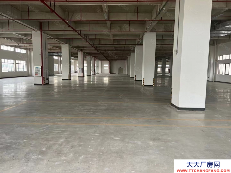 (出租) 廣東中山東鳳豪華工業(yè)園區(qū)樓上3900方,1500起分!豪華精裝辦公室