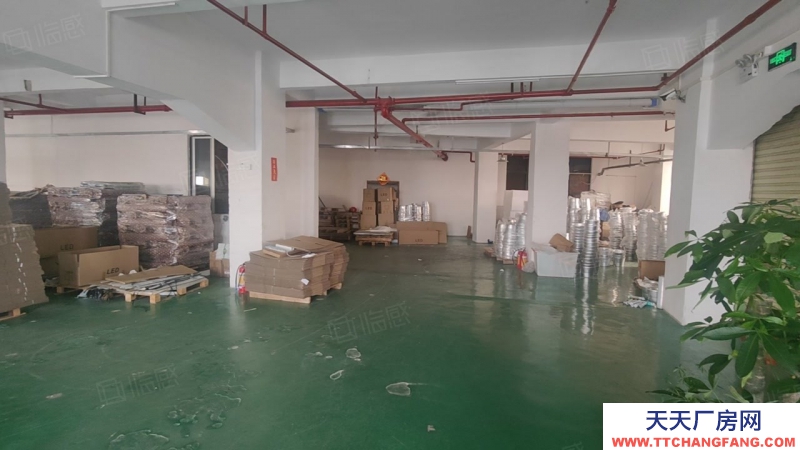 (出租) 廣東中山小欖埒西一市場附近獨門獨院樓房5樓1150方，現成水電辦公室