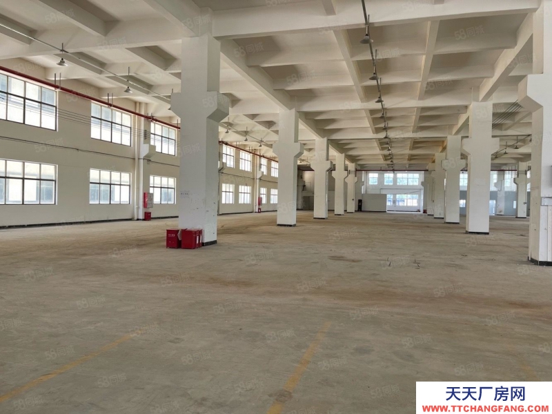 (出租) 廣東中山東利工業區8000平獨院標準 廠房倉庫招租紅本雙證