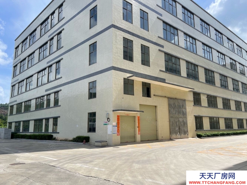 (出租) 廣東中山東利工業區8000平獨院標準 廠房倉庫招租紅本雙證