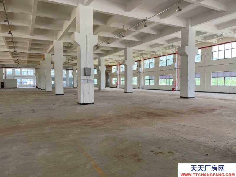 (出租) 廣東中山東利工業區8000平獨院標準 廠房倉庫招租紅本雙證