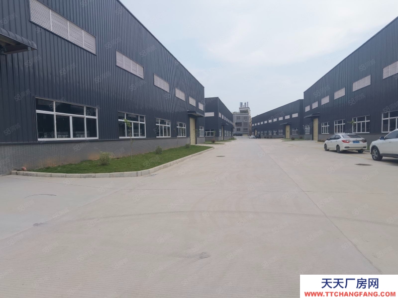 (出租) 廣東中山南朗原房東單一層鋼結構廠房出租，層高11米面積可分租