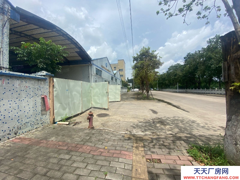 (出租) 廣東中山市岐關東路18號獨院廠房3600平方出租500平起分租