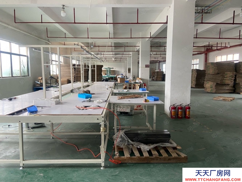 (出租) 廣東中山700平起分！黃圃會展8800平方原房東獨棟標準紅本廠房出租