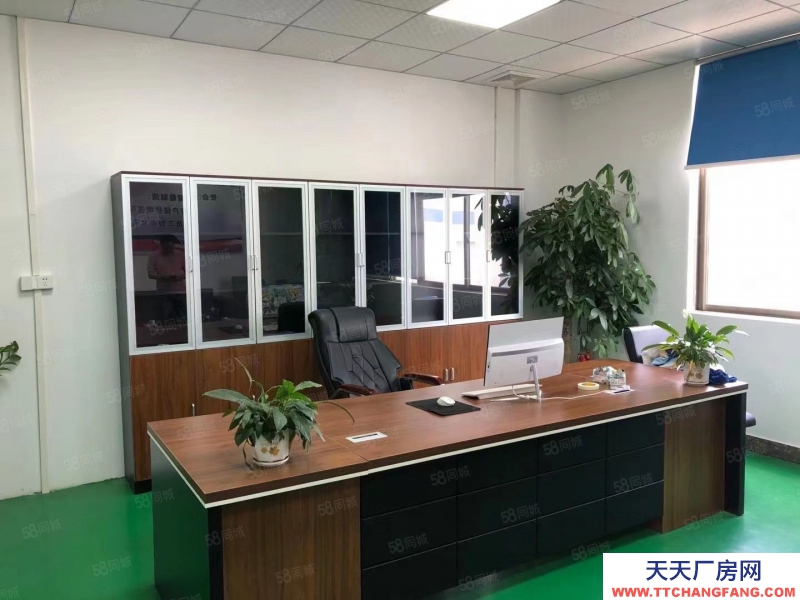 (出租) 廣東中山民營工業園1800平標準單一層廠房出租,500起分租