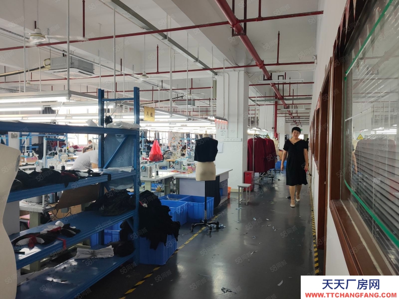 (出租) 廣東中山9蚊,沙溪鎮(zhèn) 服裝廠3000平方(可分租)精裝修現(xiàn)成辦公室