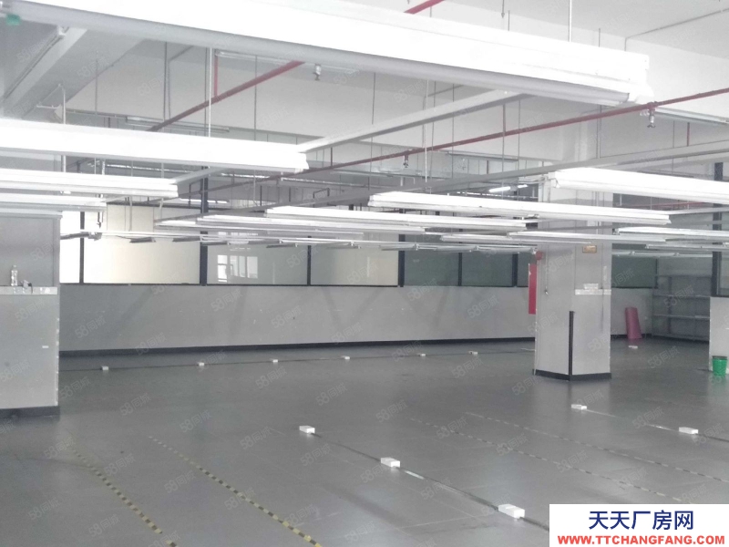 (出租) 廣東中山9蚊，沙溪鎮 服裝廠3000平方（可分租）精裝修現成辦公室