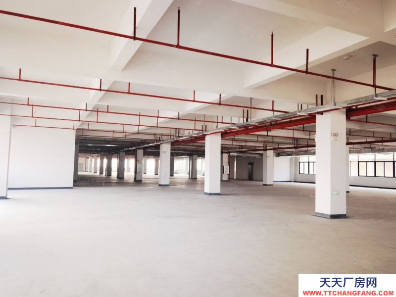 (出租) 廣東中山小欖工業(yè)大道南新廠房!特惠出租!面談!