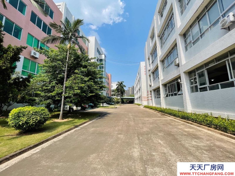 (出租) 廣東中山市三鄉鎮平鋪工業區紅本標準廠房2600方出租