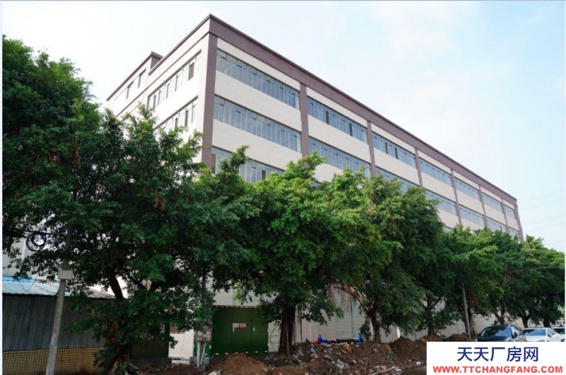 (出租) 廣東中山業(yè)主新建廠房2萬(wàn)方出租可辦環(huán)評(píng)，可分租四邊大路小欖工業(yè)大道旁