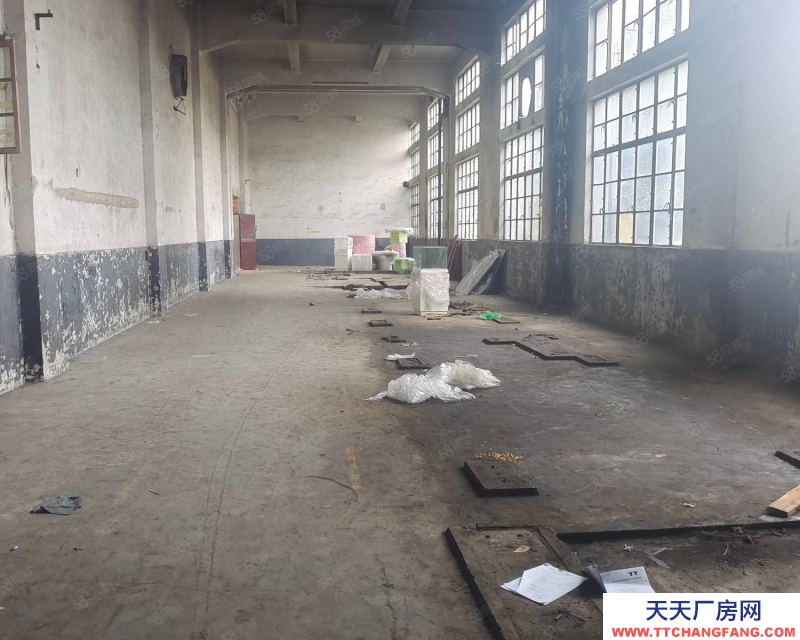 嘉興嘉善(出租) 嘉善周邊上海楓涇園區新出廠房6000平高7米電大適合各個行業